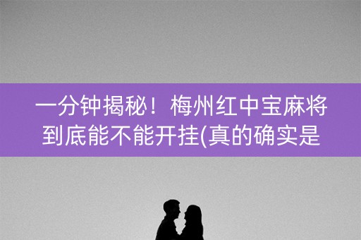 一分钟揭秘！梅州红中宝麻将到底能不能开挂(真的确实是有挂)