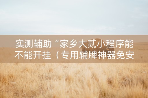 实测辅助“家乡大贰小程序能不能开挂（专用辅牌神器免安装）