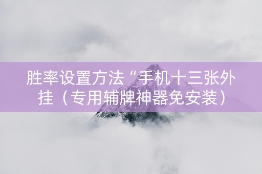 胜率设置方法“手机十三张外挂（专用辅牌神器免安装）