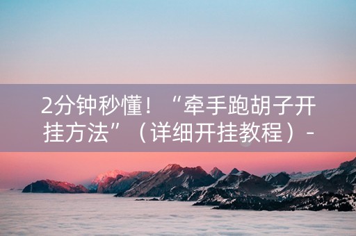 2分钟秒懂！“牵手跑胡子开挂方法”（详细开挂教程）-哔哩哔哩