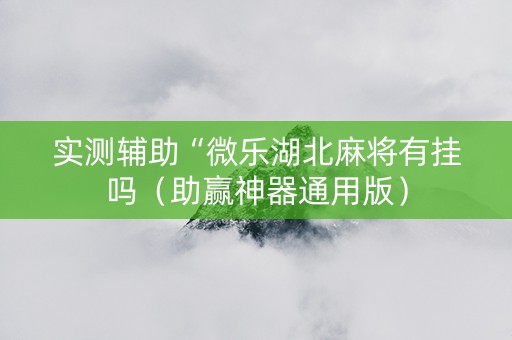 实测辅助“微乐湖北麻将有挂吗（助赢神器通用版）