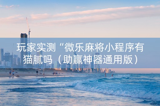 玩家实测“微乐麻将小程序有猫腻吗（助赢神器通用版）