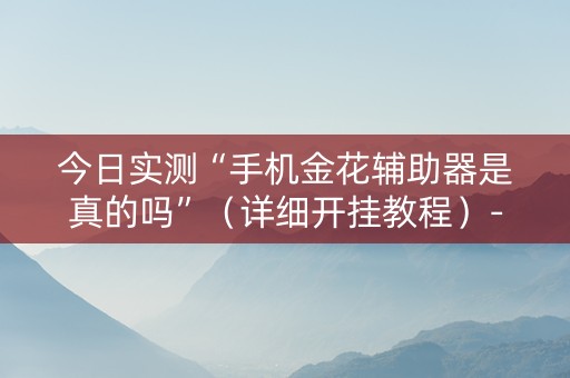 今日实测“手机金花辅助器是真的吗”（详细开挂教程）-哔哩哔哩