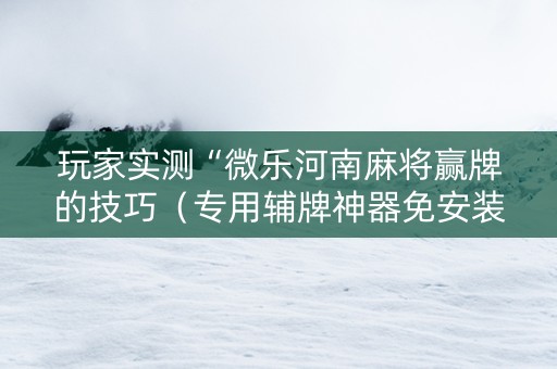 玩家实测“微乐河南麻将赢牌的技巧（专用辅牌神器免安装）