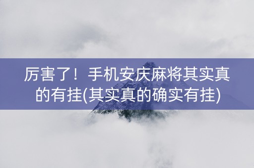 厉害了！手机安庆麻将其实真的有挂(其实真的确实有挂)