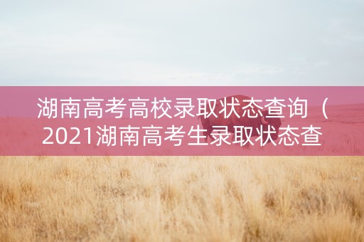湖南高考高校录取状态查询（2021湖南高考生录取状态查询）