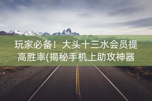 玩家必备！大头十三水会员提高胜率(揭秘手机上助攻神器)