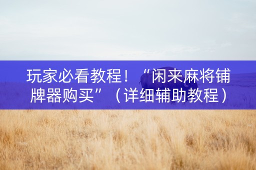 玩家必看教程！“闲来麻将铺牌器购买”（详细辅助教程）-哔哩哔哩