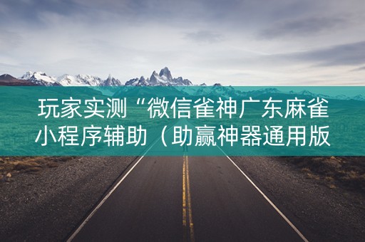 玩家实测“微信雀神广东麻雀小程序辅助（助赢神器通用版）