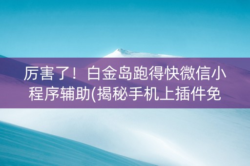 厉害了！白金岛跑得快微信小程序辅助(揭秘手机上插件免费)