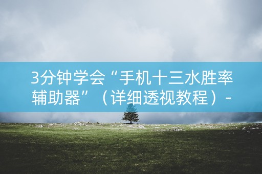 3分钟学会“手机十三水胜率辅助器”（详细透视教程）-哔哩哔哩