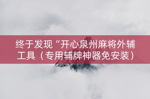终于发现“开心泉州麻将外辅工具（专用辅牌神器免安装）