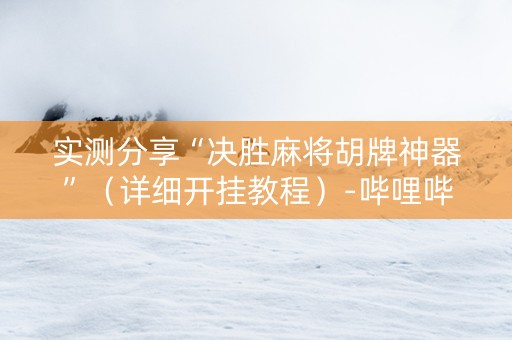 实测分享“决胜麻将胡牌神器”（详细开挂教程）-哔哩哔哩