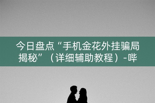 今日盘点“手机金花外挂骗局揭秘”（详细辅助教程）-哔哩哔哩