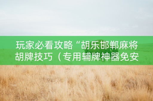 玩家必看攻略“胡乐邯郸麻将胡牌技巧（专用辅牌神器免安装）