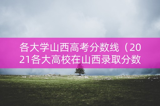 各大学山西高考分数线（2021各大高校在山西录取分数线）