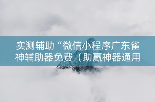 实测辅助“微信小程序广东雀神辅助器免费（助赢神器通用版）