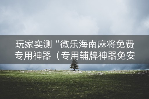 玩家实测“微乐海南麻将免费专用神器（专用辅牌神器免安装）