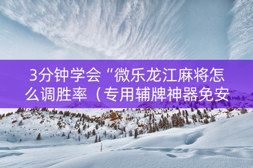 3分钟学会“微乐龙江麻将怎么调胜率（专用辅牌神器免安装）