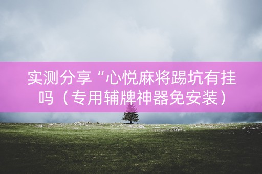 实测分享“心悦麻将踢坑有挂吗（专用辅牌神器免安装）