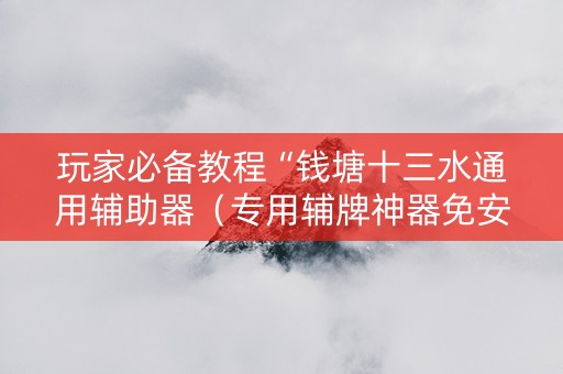 玩家必备教程“钱塘十三水通用辅助器（专用辅牌神器免安装）