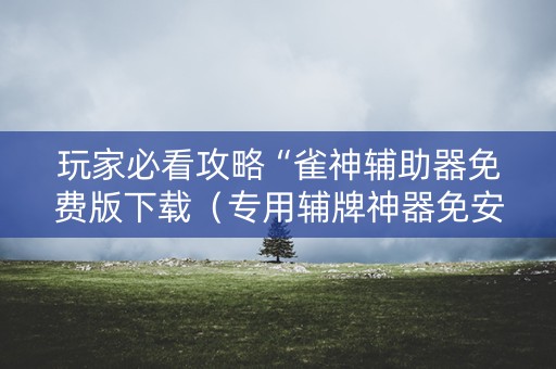 玩家必看攻略“雀神辅助器免费版下载（专用辅牌神器免安装）