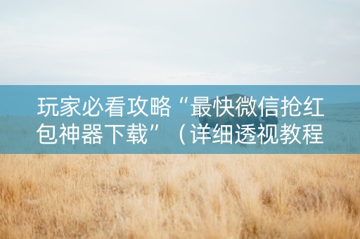 玩家必看攻略“最快微信抢红包神器下载”（详细透视教程）-哔哩哔哩