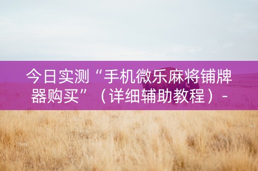 今日实测“手机微乐麻将铺牌器购买”（详细辅助教程）-哔哩哔哩