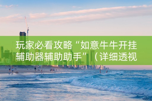 玩家必看攻略“如意牛牛开挂辅助器辅助助手”（详细透视教程）-哔哩哔哩