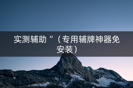 实测辅助“（专用辅牌神器免安装）