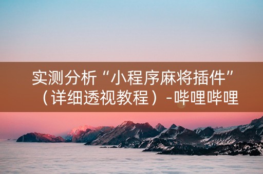 实测分析“小程序麻将插件”（详细透视教程）-哔哩哔哩