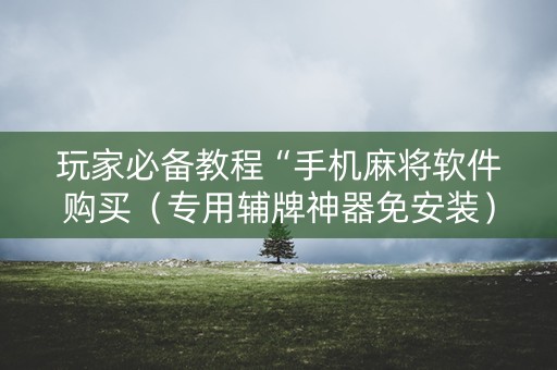 玩家必备教程“手机麻将软件购买（专用辅牌神器免安装）