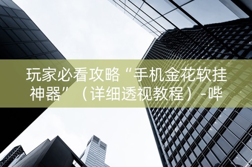玩家必看攻略“手机金花软挂神器”（详细透视教程）-哔哩哔哩