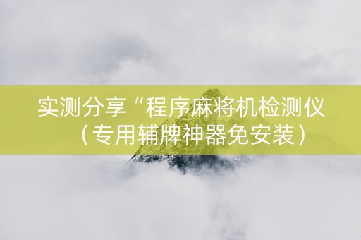 实测分享“程序麻将机检测仪（专用辅牌神器免安装）