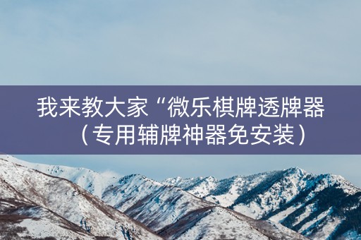 我来教大家“微乐棋牌透牌器（专用辅牌神器免安装）