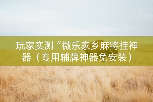 玩家实测“微乐家乡麻将挂神器（专用辅牌神器免安装）