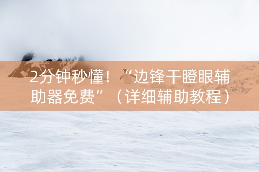 2分钟秒懂！“边锋干瞪眼辅助器免费”（详细辅助教程）-哔哩哔哩