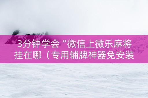 3分钟学会“微信上微乐麻将挂在哪（专用辅牌神器免安装）