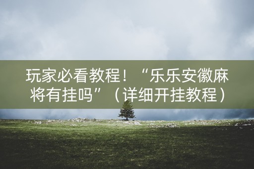 玩家必看教程！“乐乐安徽麻将有挂吗”（详细开挂教程）-哔哩哔哩