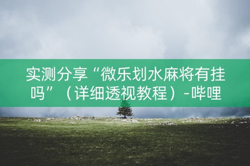 实测分享“微乐划水麻将有挂吗”（详细透视教程）-哔哩哔哩