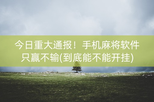 今日重大通报！手机麻将软件只赢不输(到底能不能开挂)