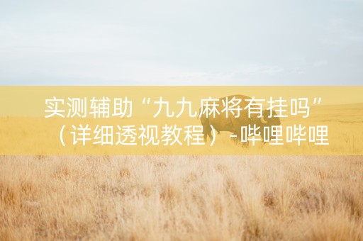 实测辅助“九九麻将有挂吗”（详细透视教程）-哔哩哔哩