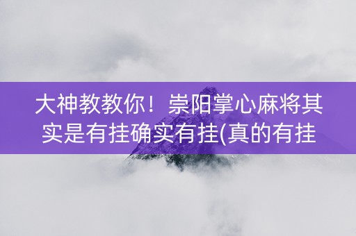 大神教教你！崇阳掌心麻将其实是有挂确实有挂(真的有挂确实有挂)
