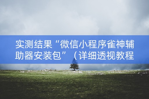 实测结果“微信小程序雀神辅助器安装包”（详细透视教程）-哔哩哔哩