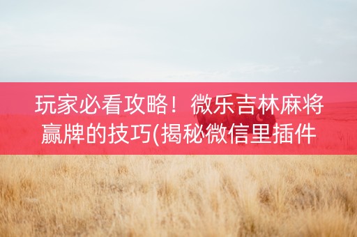 玩家必看攻略！微乐吉林麻将赢牌的技巧(揭秘微信里插件免费)