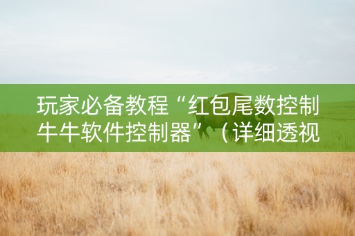 玩家必备教程“红包尾数控制牛牛软件控制器”（详细透视教程）-哔哩哔哩