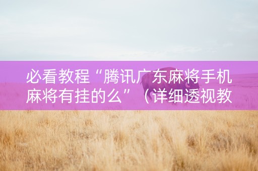 必看教程“腾讯广东麻将手机麻将有挂的么”（详细透视教程）-哔哩哔哩