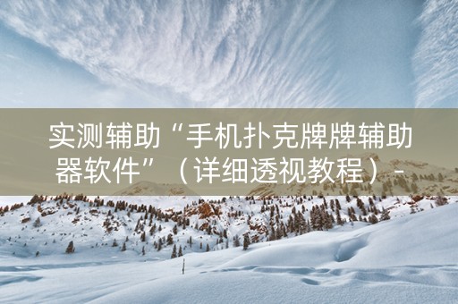 实测辅助“手机扑克牌牌辅助器软件”（详细透视教程）-哔哩哔哩