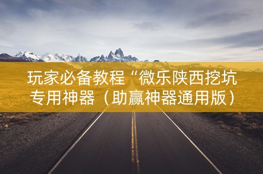 玩家必备教程“微乐陕西挖坑专用神器（助赢神器通用版）