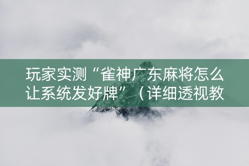 玩家实测“雀神广东麻将怎么让系统发好牌”（详细透视教程）-哔哩哔哩